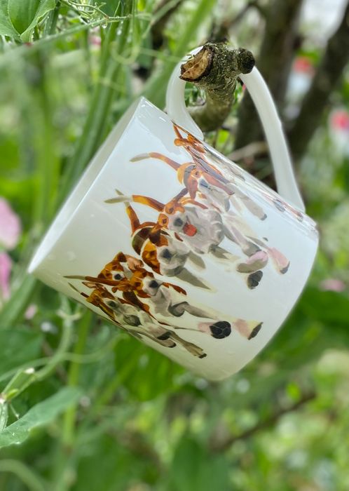 Bone China tableware