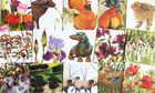 Greeting cards