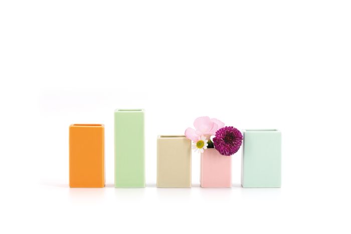 Mini Vases Set of 5