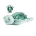 Cloud b - Tranquil Turtle' - Green