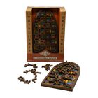 Project Genius Brain Teaser Puzzles