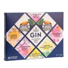 Gin Infusions Variety Pack