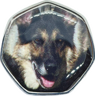 German Shepherd Dog TGBCH Colour 50p Shaped Coin