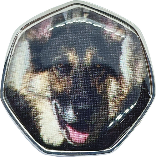 German Shepherd Dog TGBCH Colour 50p Shaped Coin