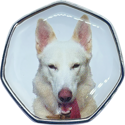 Canadian White Shepherd Dog TGBCH Colour 50p Shaped Coin