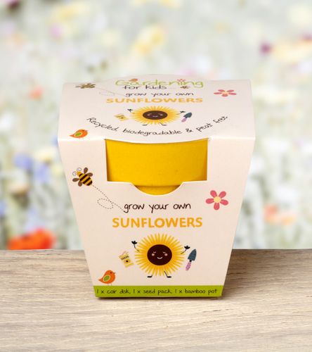 Best Seller!  Grow Your Own Sunflowers