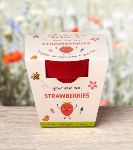 Best Seller!  Grow Your Own Strawberries