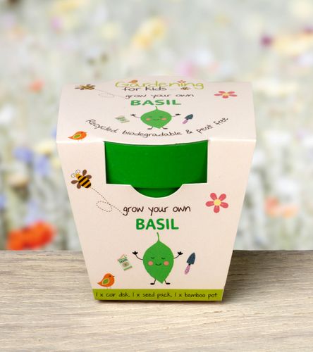 Grow Your Own Basil