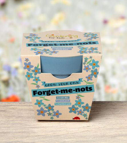 Best Seller!  Grow Your Own Forget-me-Nots