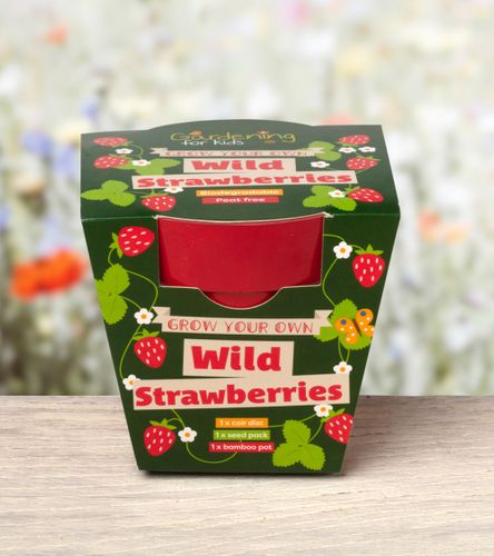 Best Seller! Grow Your Own Wild Strawberries