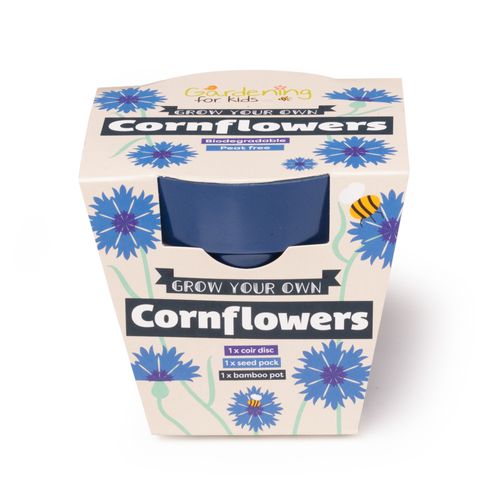 Grow Your Own Cornflowers