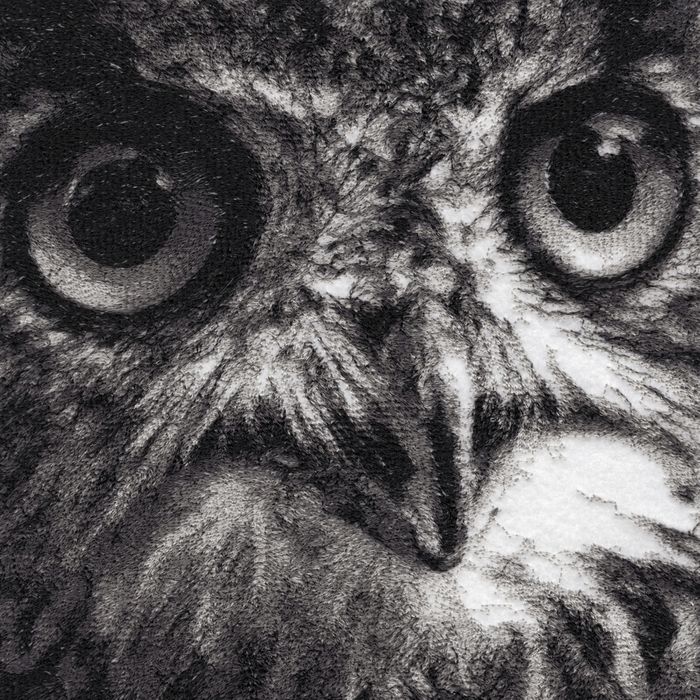 Bubo the Eagle Owl Embroidered Art