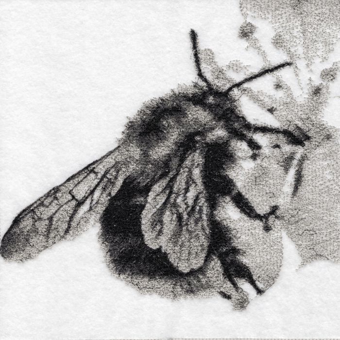 Bumble The Bumble Bee Embroidered Art