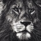 Jasiri Shujaa The Lion Embroidered Art