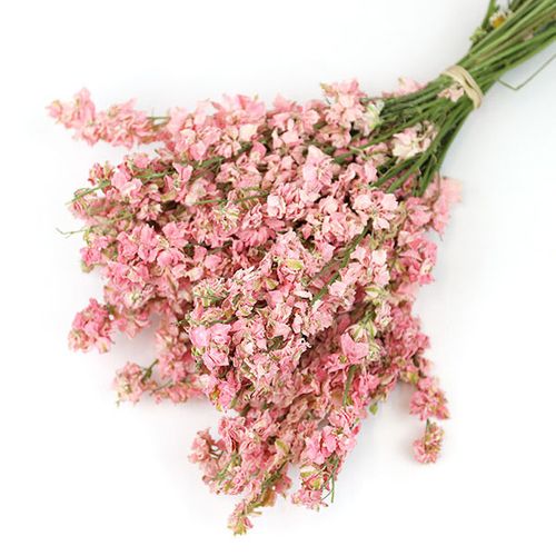 PINK DELPHINIUM BUNCH