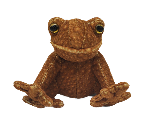 ToadFrog!