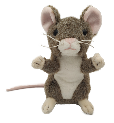 Cute Mini Mouse