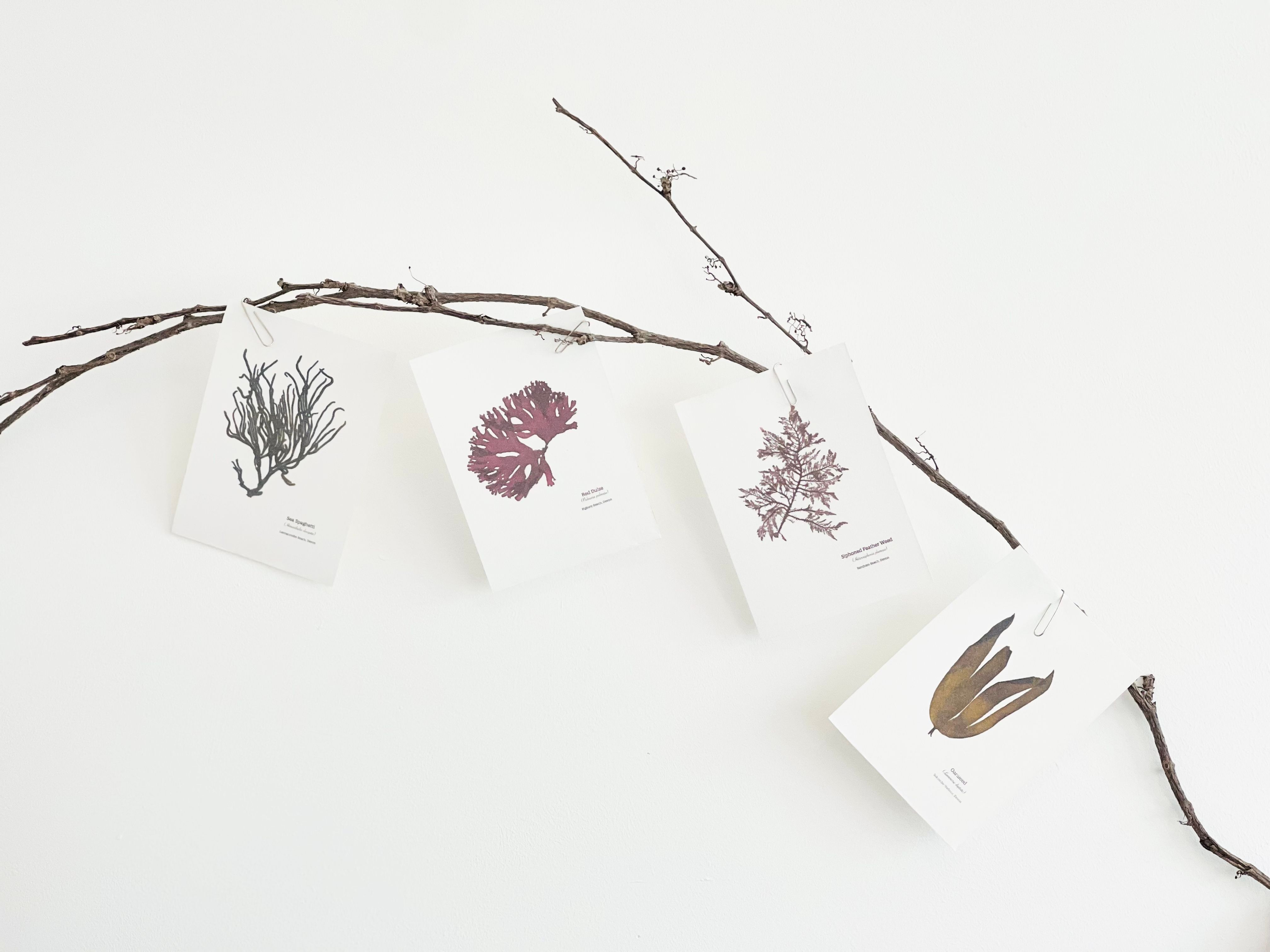 Eco-friendly Greetings Cards & Postcards