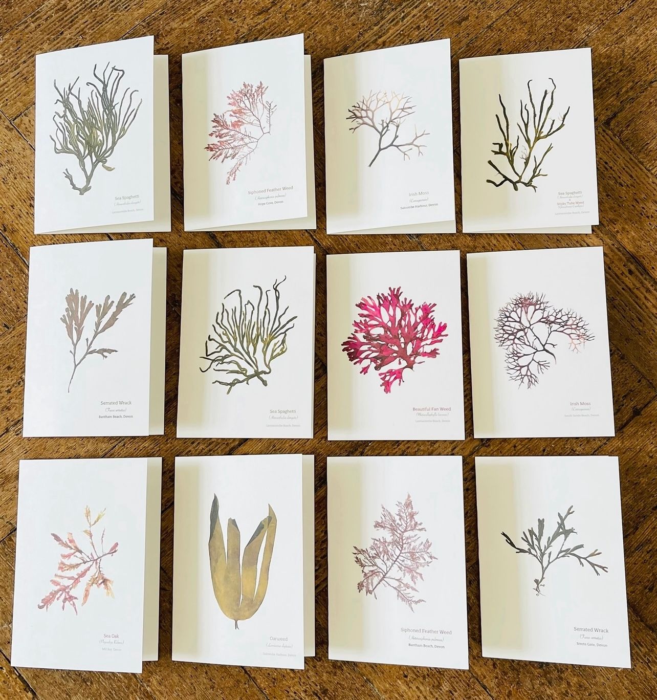 Eco-friendly Greetings Cards & Postcards