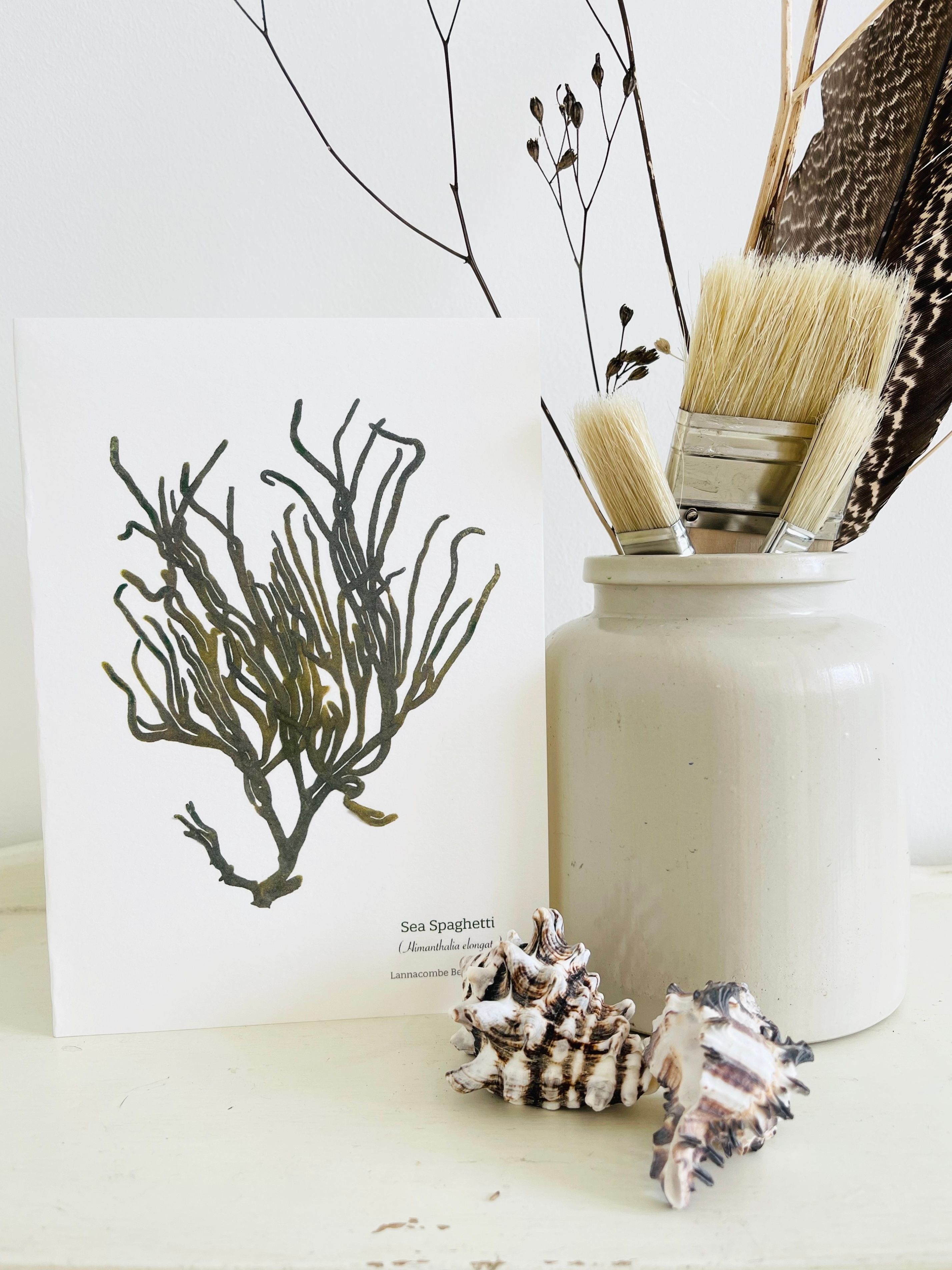 Eco-friendly Greetings Cards & Postcards