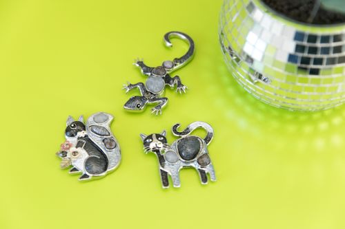 Magnetic Brooches