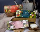NEW PRODUCTS! Royal Botanic Gardens, Kew Collection