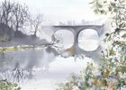 Jenny Ulyatt greeting cards range