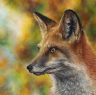 Vicky Tucker greeting cards range