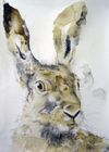 Andy Broderick greeting cards range