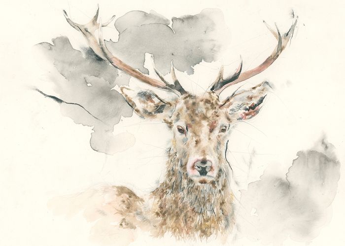 Andy Broderick greeting cards range