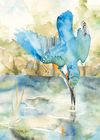 Andy Broderick greeting cards range