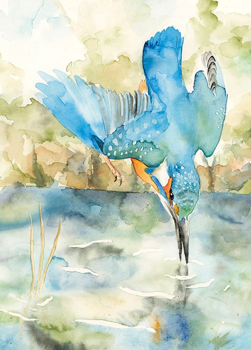 Andy Broderick greeting cards range
