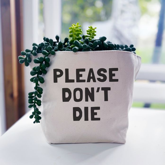 *Plant Pot Covers!