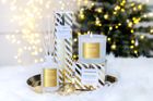 Seasonal - Festive Wishes