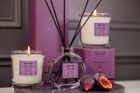 Modern Classics Collection - New Fragrance AW25