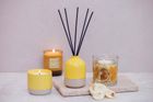 Elements  - NEW Ceramic Diffuser Pots