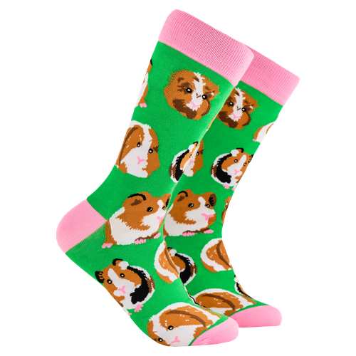 Guinea Pig Socks - I Am Not a Hamster