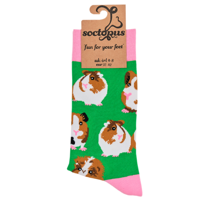 Guinea Pig Socks - I Am Not a Hamster