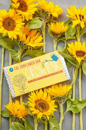 The Sunflower Bar