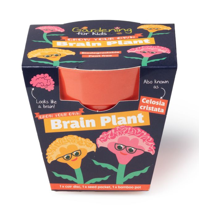 'Grow Something Different' Children's Growing Kits