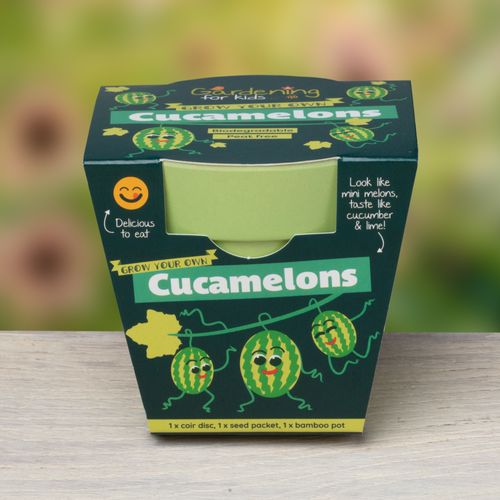Best Seller! Grow Your Own Cucamelons
