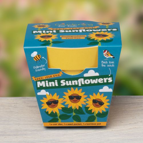 Grow Your Own Mini Sunflowers