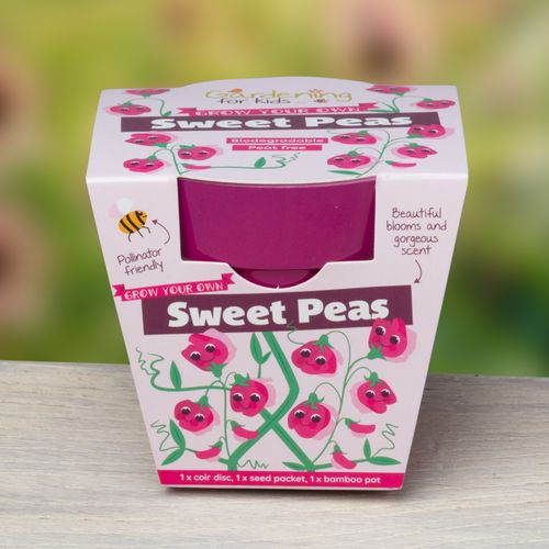 Grow Your Own Sweet Peas