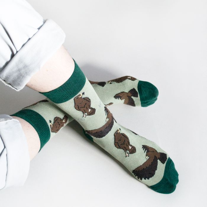 Eagle Socks | Bamboo Socks | Green Socks | Sky Socks