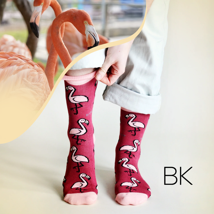 Flamingo Socks | Bamboo Socks | Red Socks | Africa Socks