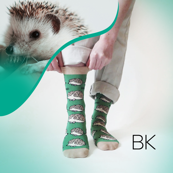 Hedgehog Socks | Bamboo Socks | Green Socks | UK Socks