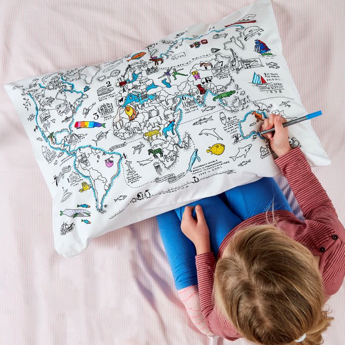 World Map Pillowcase