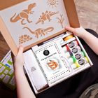 Dinosaur T-shirt Painting Craft Kit