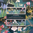 Umbellifer Themed Greetings Card Packs