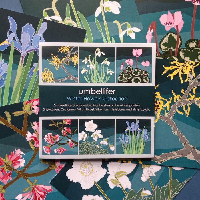 Umbellifer Themed Greetings Card Packs